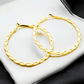 Entangled Earrings