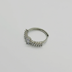 Moonlit Ring