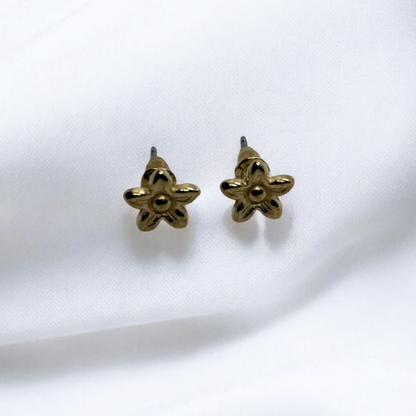 Mini Star Earrings