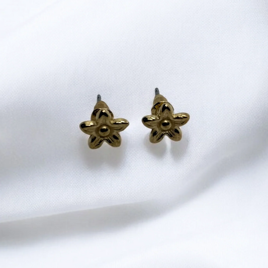 Mini Star Earrings