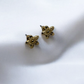 Mini Star Earrings