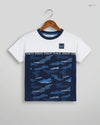 Boys Summer Tops | NUTMEG | Preloved Branded | Blue & White Cotton | Premium | OTS Thrift Store Peshawar Pakistan